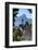 Elevated View over Parish Church and St. Wolfgang, Wolfgangsee Lake, Flachgau-Doug Pearson-Framed Photographic Print