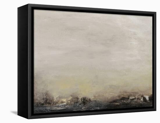 Elevated View VI-Sharon Gordon-Framed Stretched Canvas