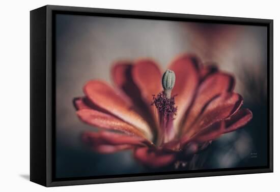 Elevation Bloom-Nathan Larson-Framed Premier Image Canvas