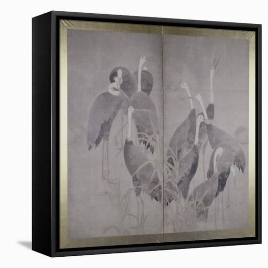 Eleven Female Cranes Standing in Dry Reed Bed, C.1700-50 (Ink and Colours on Paper)-Ogata Korin-Framed Premier Image Canvas