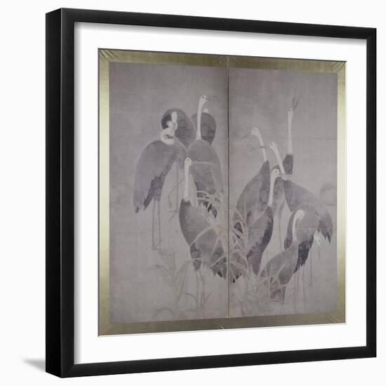 Eleven Female Cranes Standing in Dry Reed Bed, C.1700-50 (Ink and Colours on Paper)-Ogata Korin-Framed Giclee Print