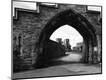 Photographic Print