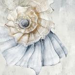 Soft Blue Sea Urchin-Eli Jones-Art Print