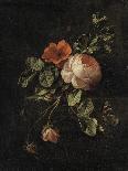 Still Life of Forest Floor with Flowers, Mushrooms and Snails-Elias Van Den Broeck-Giclee Print