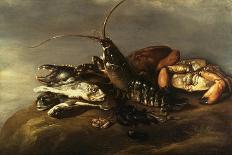 Still Life with Lobster, Crabs, Mussels and Fish-Elias Vonck-Framed Premier Image Canvas