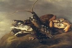Still Life with Lobster, Crabs, Mussels and Fish-Elias Vonck-Framed Giclee Print