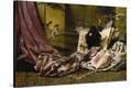 Stretched Canvas Print
