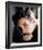 Elijah Wood-null-Framed Photo