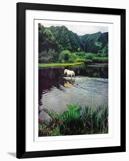 Photographic Print, , large