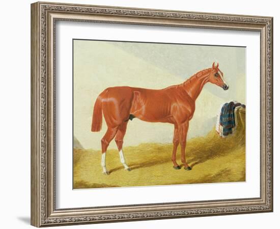 Elis, 1836 (Oil on Panel)-John Frederick Herring Snr-Framed Giclee Print