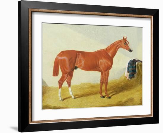 Elis, 1836 (Oil on Panel)-John Frederick Herring Snr-Framed Giclee Print