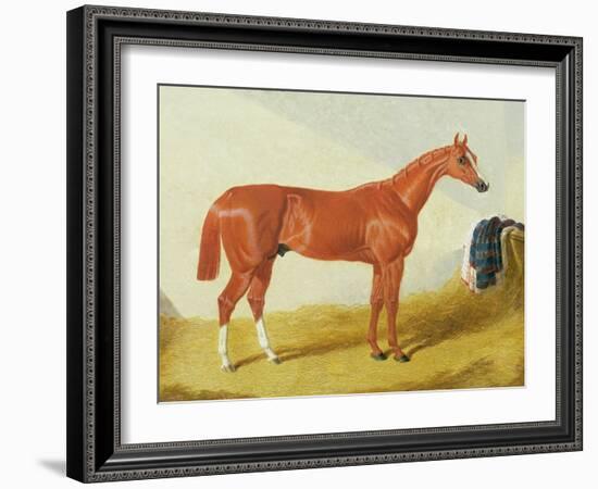 Elis, 1836 (Oil on Panel)-John Frederick Herring Snr-Framed Giclee Print