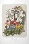 A Bouquet Of Flowers Including Crocuses and Lilies-Elisa Champin-Framed Giclee Print