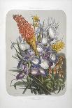 A Bouquet Of Flowers Including Irises-Elisa Champin-Framed Premier Image Canvas