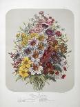 A Bouquet Of Flowers-Elisa Champin-Framed Premier Image Canvas