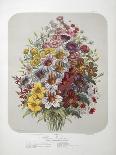 A Bouquet Of Flowers-Elisa Champin-Framed Giclee Print