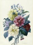 Mixed Dahlias, 1840-Elisa-Emilie Lemire-Giclee Print