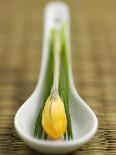 Asian Soup Spoon with Yellow Flower-Elisabeth Cölfen-Photographic Print