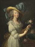 The Vicomtesse de Vaudreuil-Elisabeth Louise Vigee Le Brun-Art Print