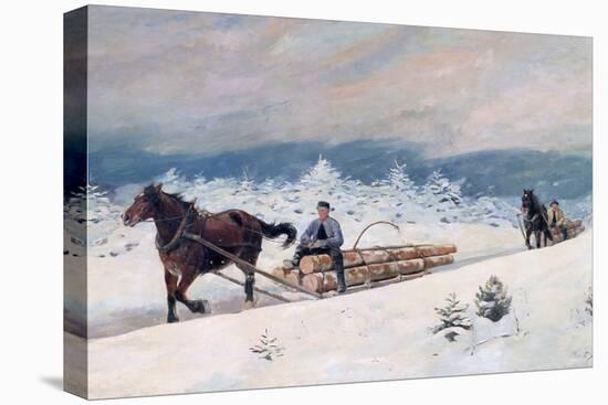 Stretched Canvas Print, , large