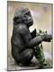 Photographic Print