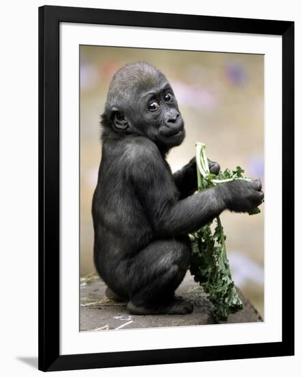 Photographic Print, , large