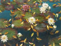 Lily Pad II-Elise Lunden-Laminated Giclee Print