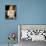 Elisha Cuthbert-null-Photo displayed on a wall