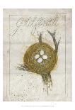 Flower Study on Lace VIII-Elissa Della-piana-Mounted Art Print