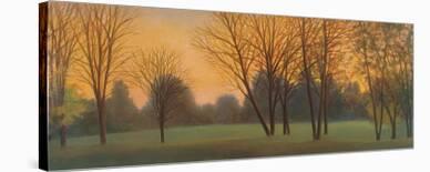 Shadow and Sunlight, Hayfield-Elissa Gore-Stretched Canvas