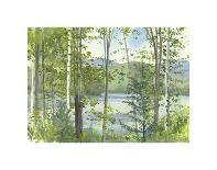 Summer Lake III-Elissa Gore-Art Print