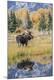 Premium Photographic Print