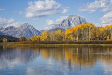 Wyoming, Grand Teton National Park, Autumn Color Along the Snake River Oxbow with Mt-Elizabeth Boehm-Photographic Print
