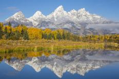 Wyoming, Grand Teton National Park, Autumn Color Along the Snake River Oxbow with Mt-Elizabeth Boehm-Photographic Print