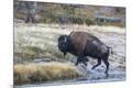 Premium Photographic Print