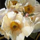 Iris Garden-Elizabeth Horning-Giclee Print