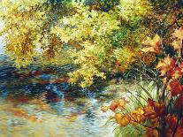 Creek and Fall Trees-Elizabeth Horning-Giclee Print
