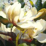 Lotus Landing-Elizabeth Horning-Framed Giclee Print