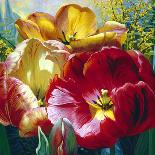 Iris Garden-Elizabeth Horning-Framed Giclee Print