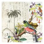 Blessings Bird-Elizabeth Jordan-Art Print