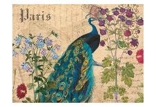 Paris Peacock Botanical 3-Elizabeth Jordan-Art Print