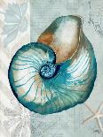 Nautical World III-Elizabeth Medley-Art Print