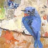 Blue Jay Blessing-Elizabeth St. Hilaire-Art Print