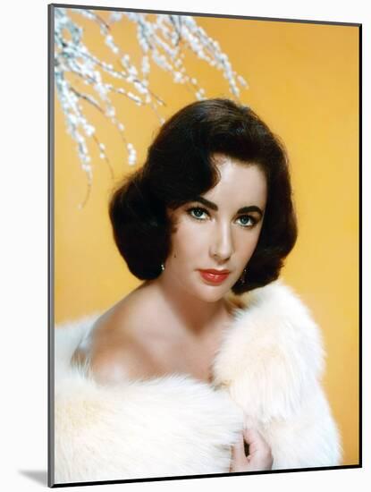 ELIZABETH TAYLOR, 1953 (photo)-null-Mounted Photo