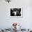 Elizabeth Taylor, After Winning an Oscar, in Crowd with Husband, Eddie Fisher-Grey Villet-Framed Premium Photographic Print displayed on a wall