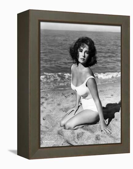 Elizabeth Taylor in 'Suddenly, Last Summer', 1959 (b/w photo)-American Photographer-Framed Stretched Canvas