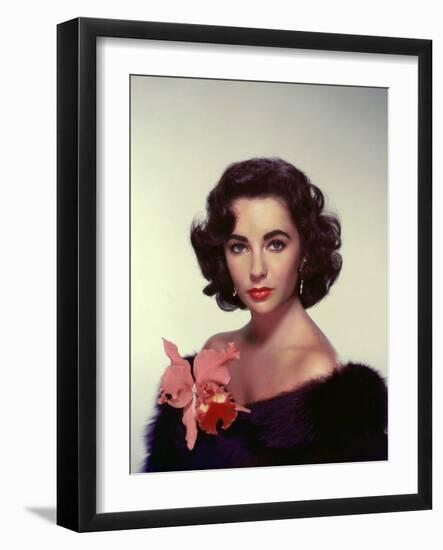 ELIZABETH TAYLOR in the 50's (photo)-null-Framed Photo