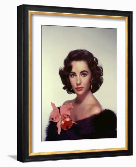 ELIZABETH TAYLOR in the 50's (photo)-null-Framed Photo