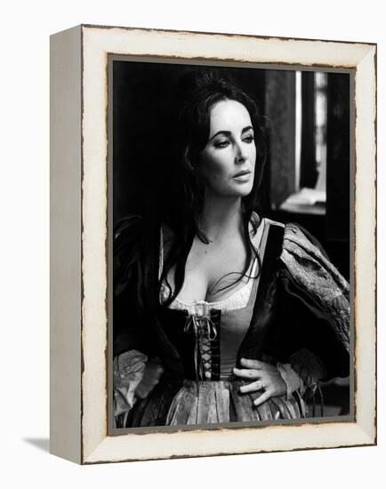 Elizabeth Taylor in 'The Taming of the Shrew'-null-Framed Stretched Canvas