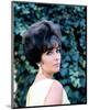 Elizabeth Taylor-null-Mounted Photo